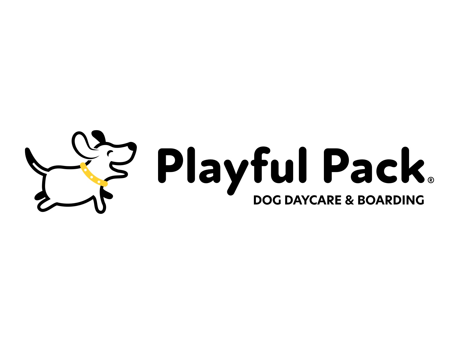 Boarding News From Playful Pack boarding-news-from-playful-pack